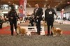  - Brussels dogshow 2018